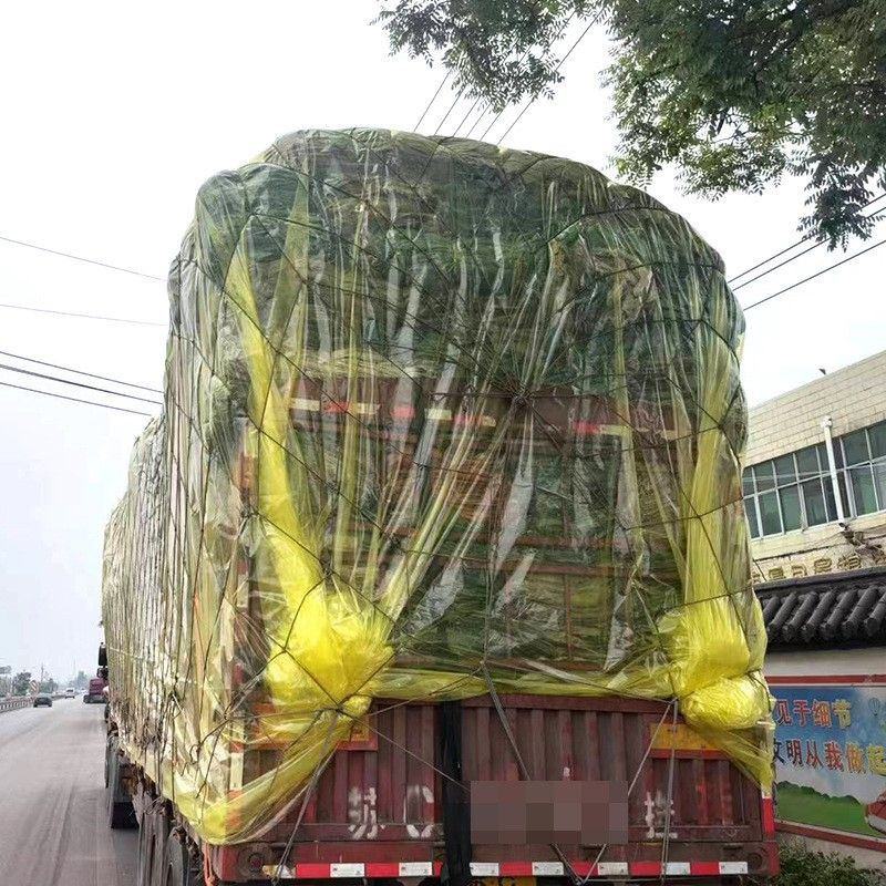 Truck Rain Mask (Car Film)